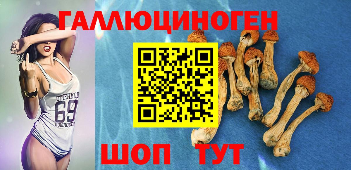Бузулук  Псилоцибиновые грибы Cubensis  где продают   Вход с VPN 